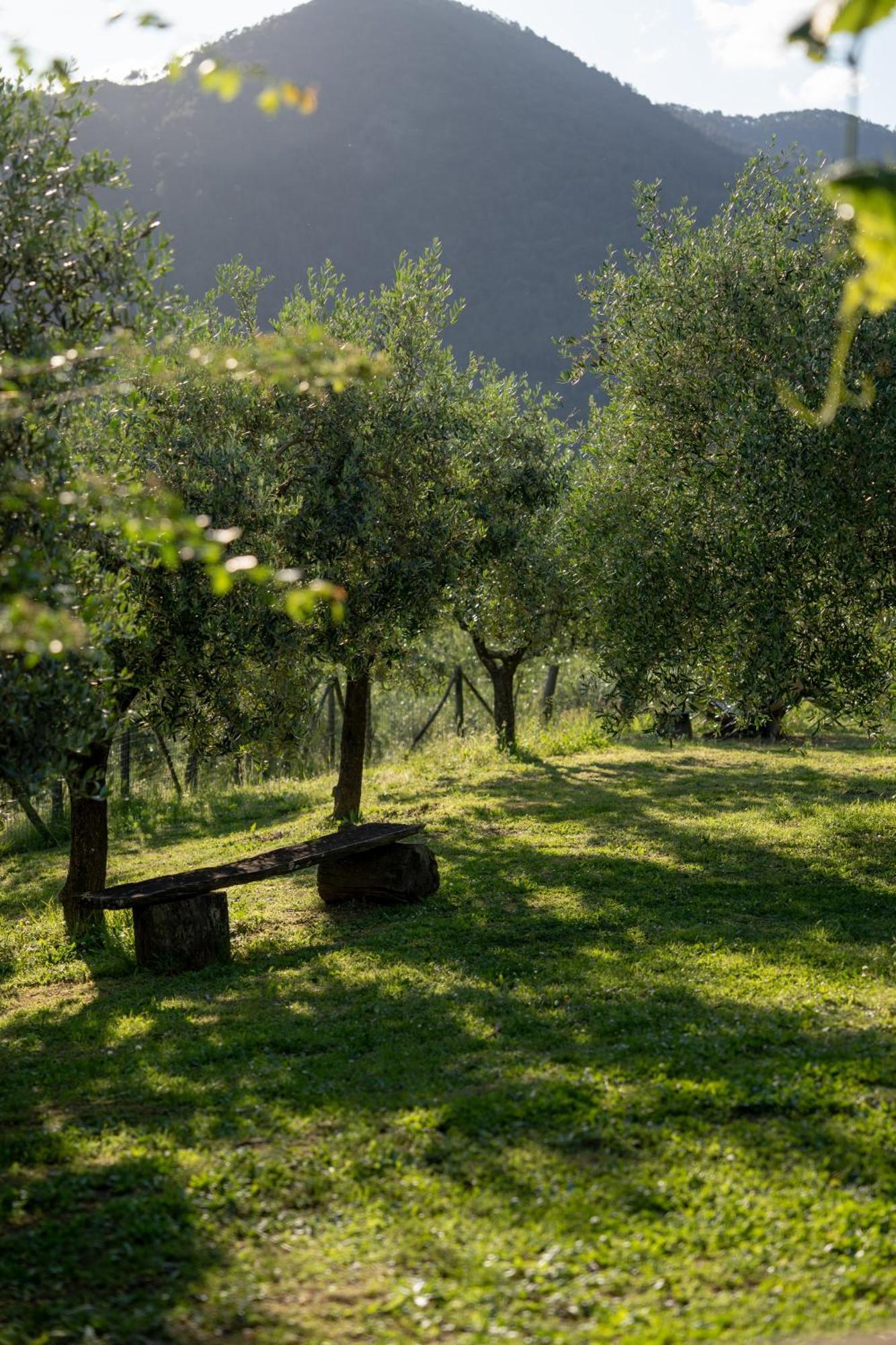 Agriturismo I Due Ghiri - Cinque Terre Calice al Cornoviglio Kültér fotó